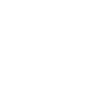 VIVA LEON